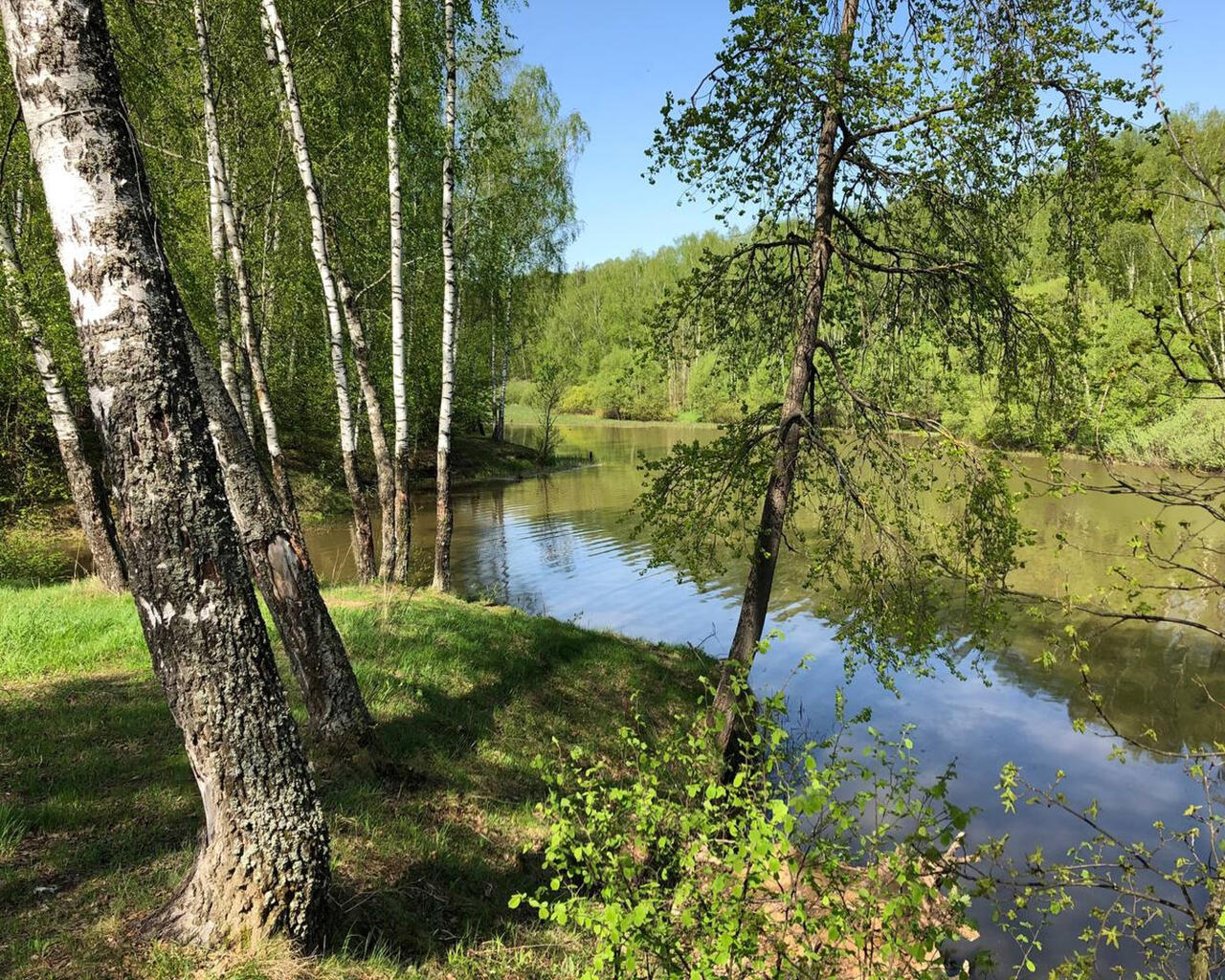 Поселок южный московская область. Минаево парк. Лесопарк Южный Тольятти.