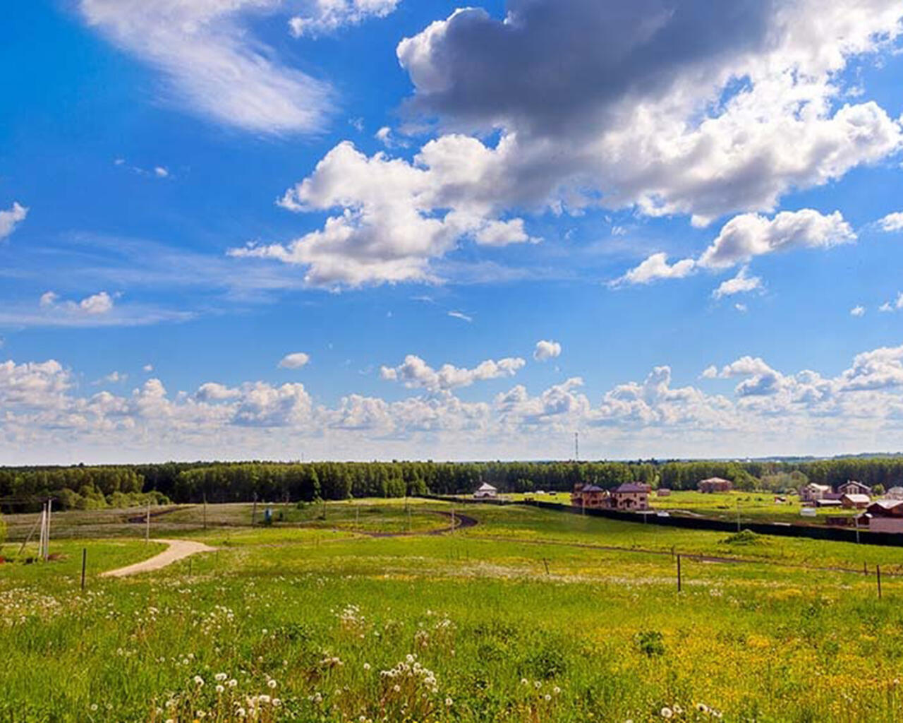 42 участок. Лето в поселке. Куртниково Истринский КП. Поселок Москва-лето. Александра летом коттеджный поселок.