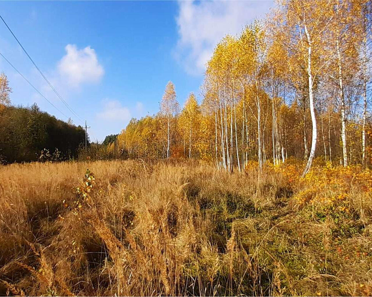 Коттеджный посёлок «Флора Парк» Московская обл, Павловский Посад г,  Воровского ул. Отзывы, цены, застройщик, фото, официальный сайт.